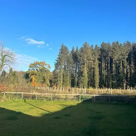 Favour Royal - Dog Friendly Forest Escape