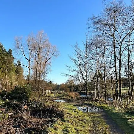 Favour Royal - Dog Friendly Forest Escape *