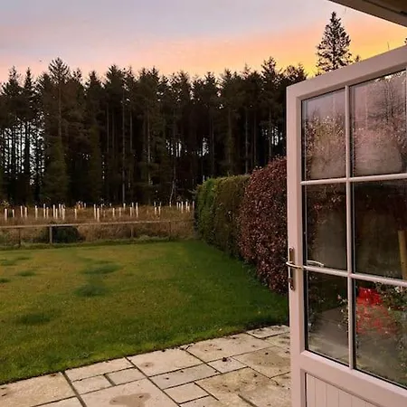 Favour Royal - Dog Friendly Forest Escape * Derrygorry