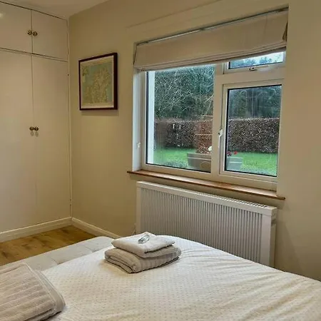 Favour Royal - Dog Friendly Forest Escape Derrygorry