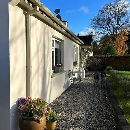 Favour Royal - Dog Friendly Forest Escape * Derrygorry